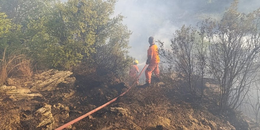 Antalya'da ormanlık alanda çıkan yangın kontrol altına alındı