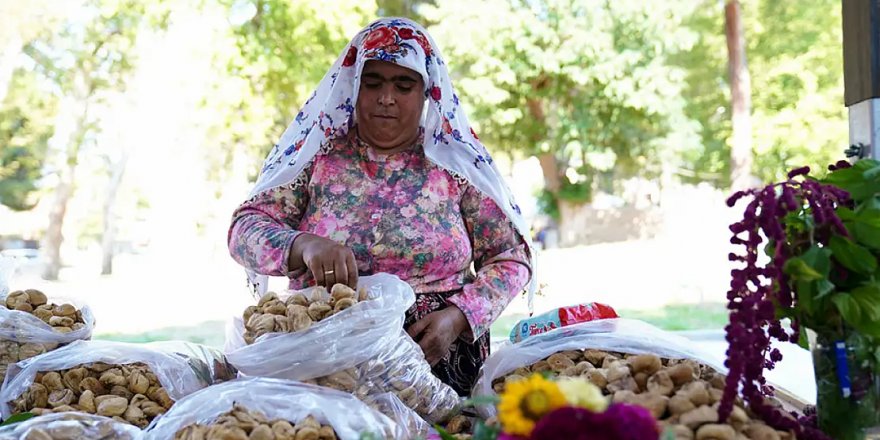 Tire'de İncir ve Ceviz Festivali yapıldı