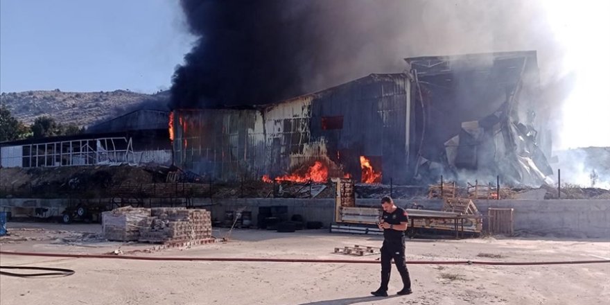 Adana'da narenciye paketleme tesisinde çıkan yangına müdahale ediliyor