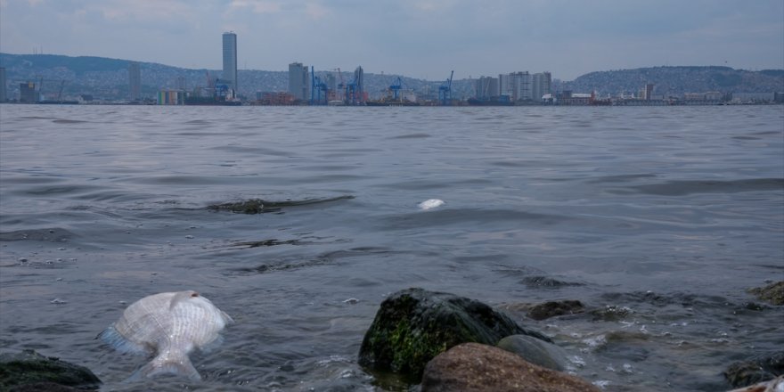 İzmir Büyükşehir Belediye Başkanı Tugay'dan körfezdeki kirliliğe ilişkin açıklama