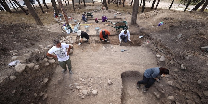 Yumuktepe Höyüğü'nde 9 bin yıllık geçmişe sahip iki buğday türü tespit edildi