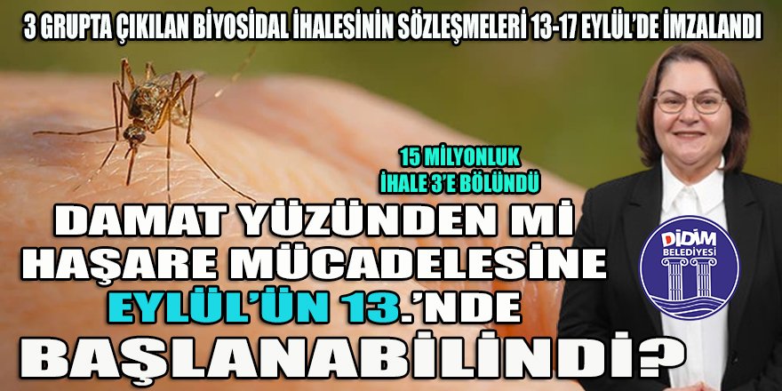 Didim belediyesi Eylül'ün 13.'nden sonra ilçeye uçan-kaçan haşere girişlerini yasakladı!