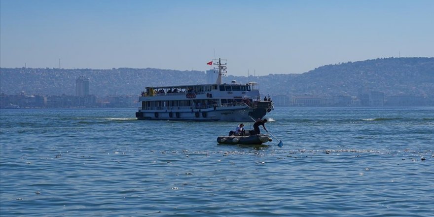 İzmir Körfezi'nde balık ölümleri sürüyor