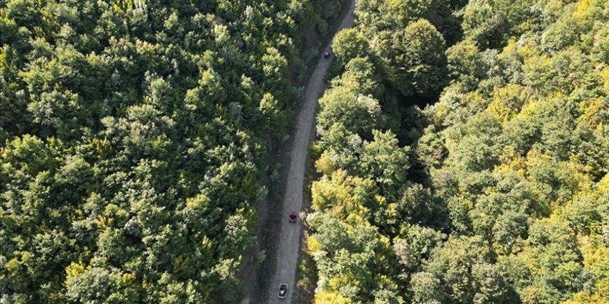 Tekirdağ'da Ganos Dağı eteklerindeki ormanlar ekstrem spor tutkunlarını ağırlıyor