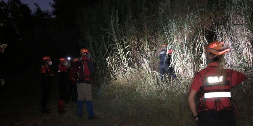 Manisa'da kayıp olarak aranan kadın ormanda ölü bulundu