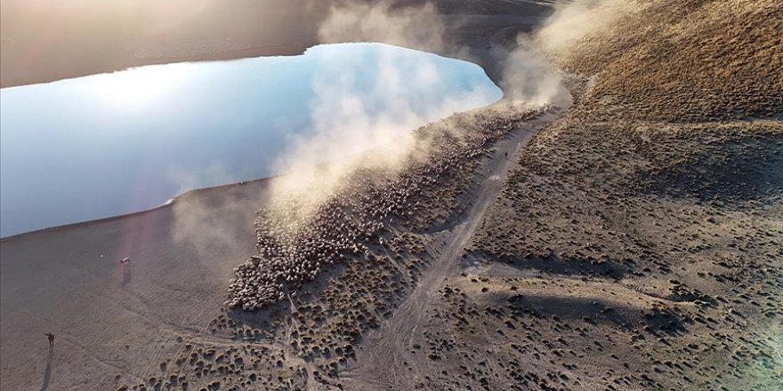 Sürülerin Nemrut Dağı'na tozlu yolculuğu