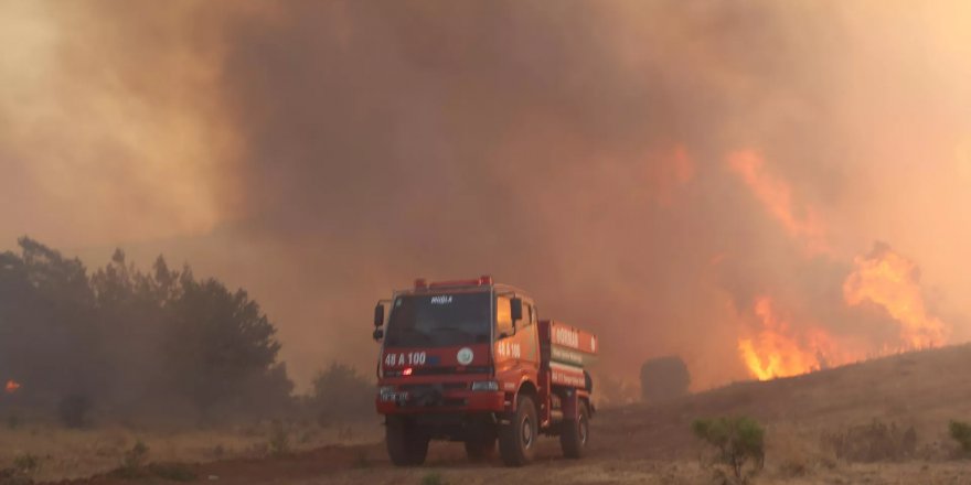 Muğla'da orman yangınına sebebiyet verdiği öne sürülen bir kişi tutuklandı