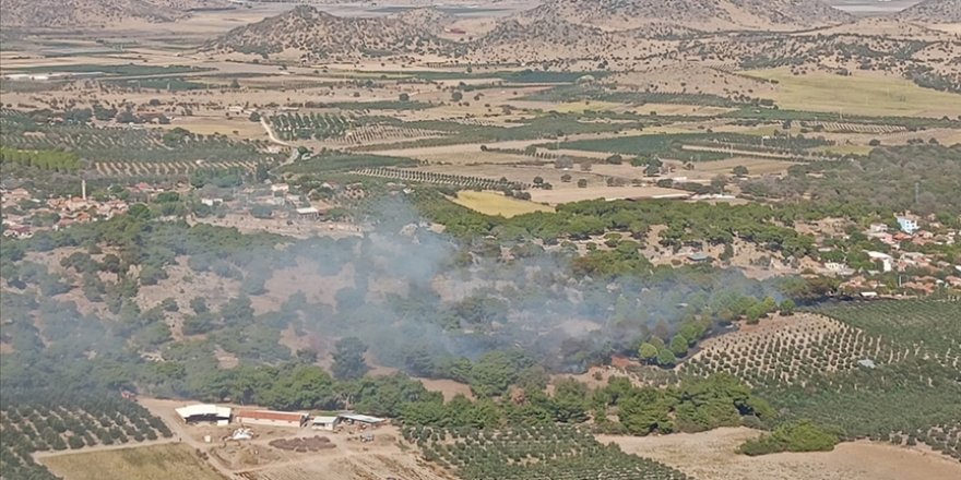 İzmir'de tarım arazisinde çıkan yangın ormana sıçradı