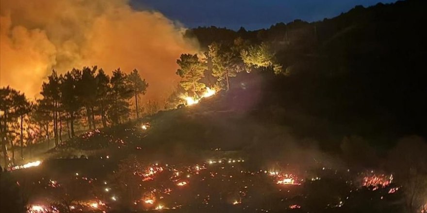 Muğla'da çıkan iki orman yangınına müdahale ediliyor