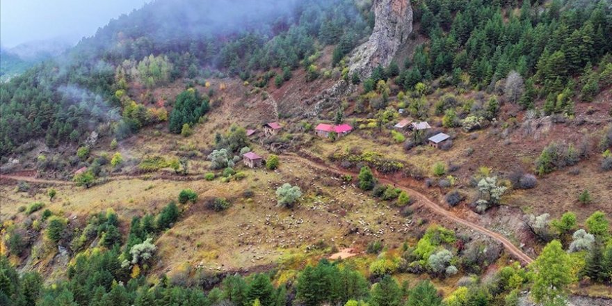 Zigana Dağı sonbahar renklerine büründü