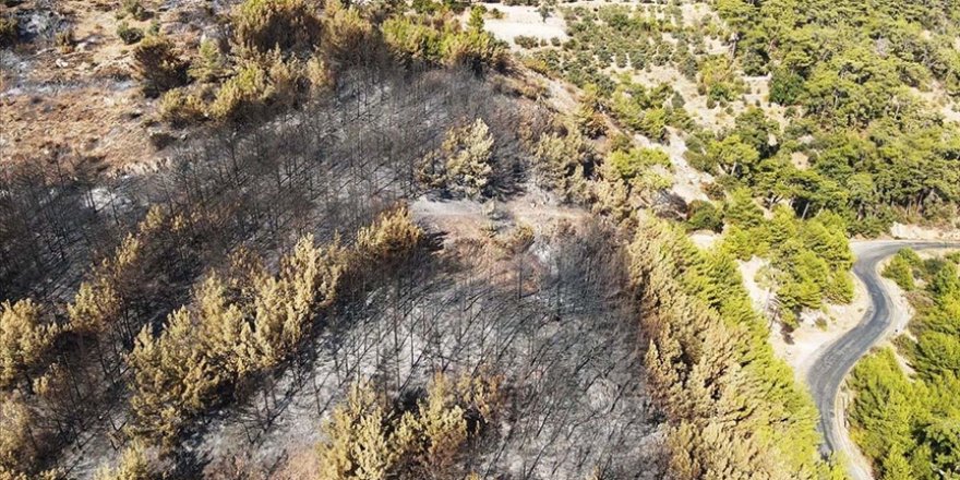 Menteşe'de orman yangınından etkilenen alanlar havadan görüntülendi