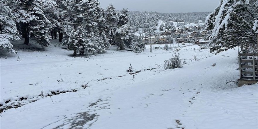 Bitlis ve Sivas'ta kar yağışı etkili oldu