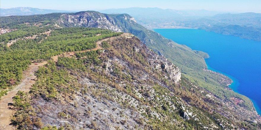 Menteşe'de ormancılar 6 kilometre "yangın şeridi" açarak alevlerin önünü kesti