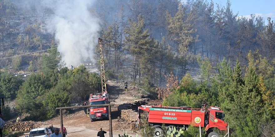 Osmaniye'de çıkan orman yangını söndürüldü