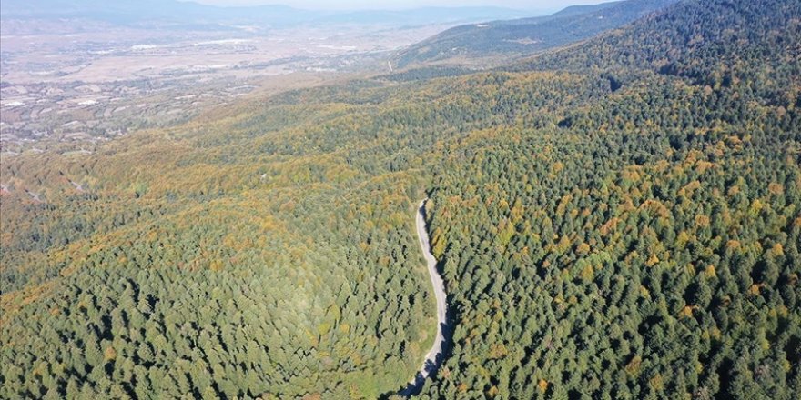 Gölcük Tabiat Parkı ve çevresi hazan mevsiminin renkleriyle süslendi