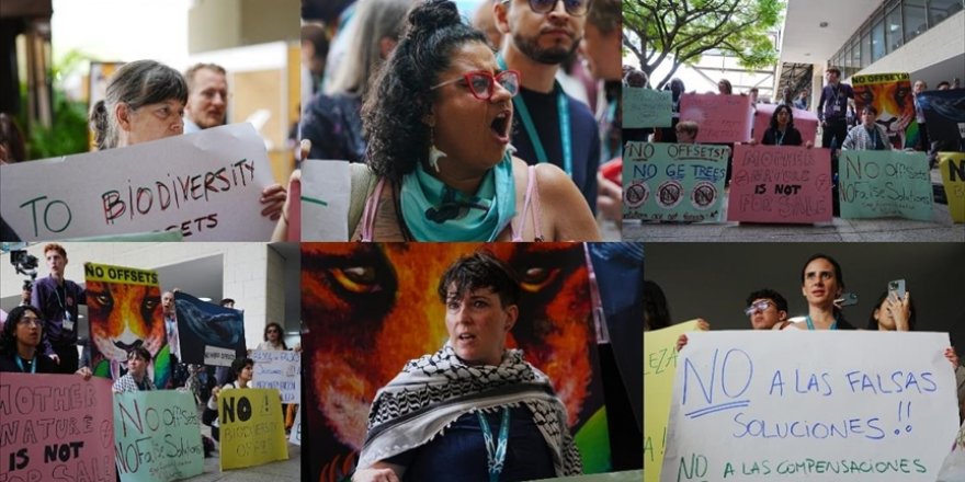 Çevre aktivistleri Kolombiya'da düzenlenen COP16 sırasında protesto düzenledi