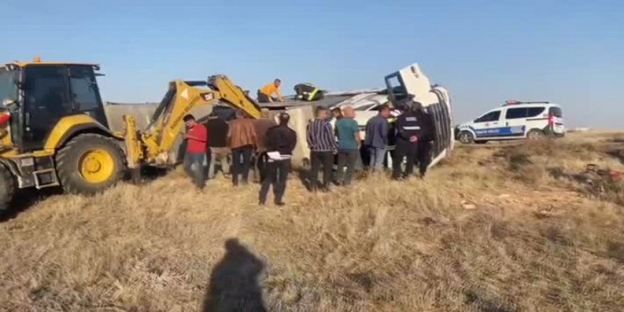 Konya'da devrilen tırdaki 100 koyun telef oldu