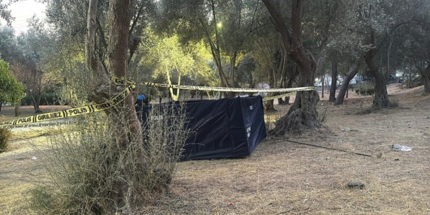 İzmir'de zeytin ağacından düşen kişi öldü