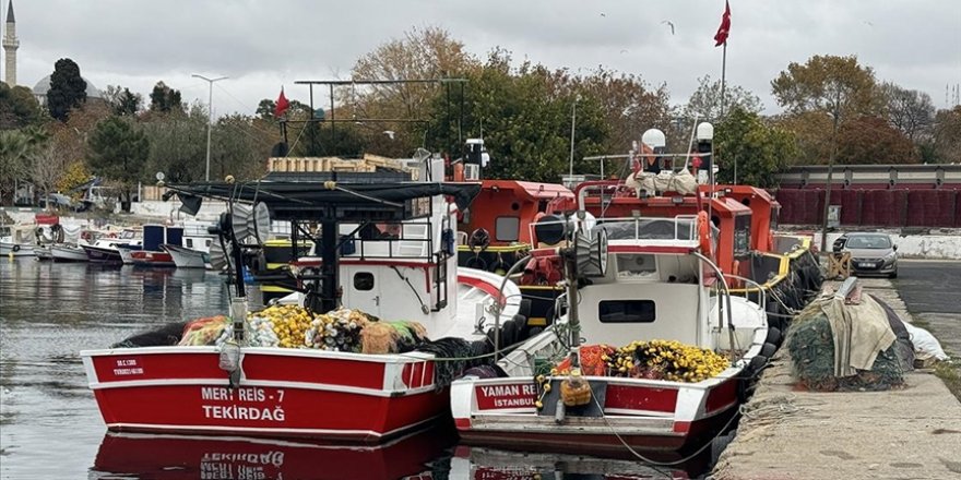 Tekirdağlı balıkçılar hamsi ve istavrit umuduyla Karadeniz'e gidecek