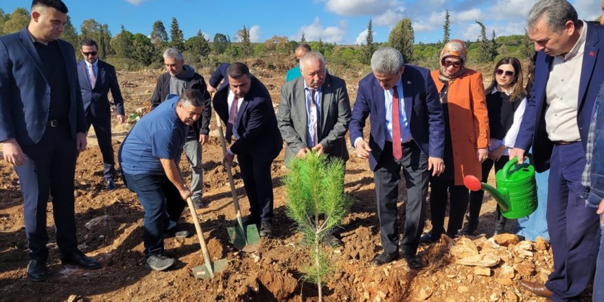 Aydın'da MHP Genel Başkanı Devlet Bahçeli adına hatıra ormanı oluşturuldu