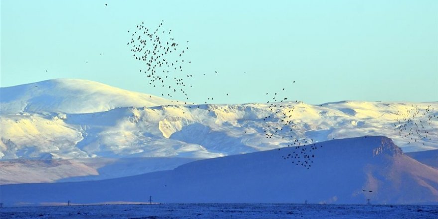 Kars'ta etkili olan kar yağışı etrafı beyaza bürüdü