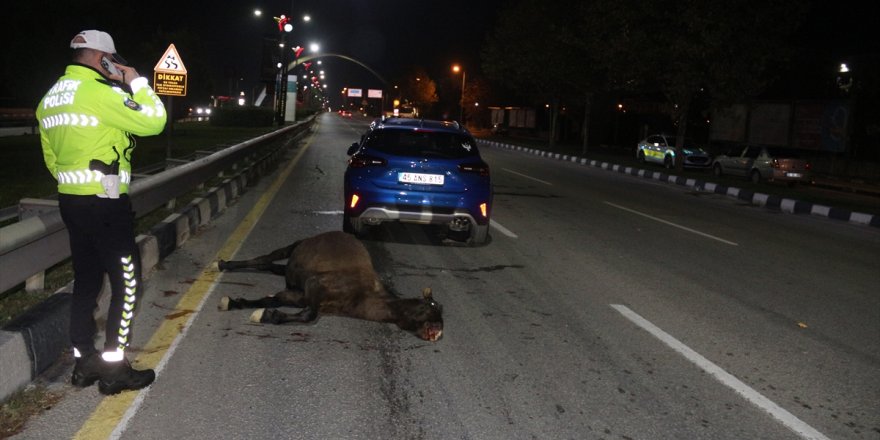 Manisa'da yola çıkan ata çarpan otomobildeki 3 kişi yaralandı