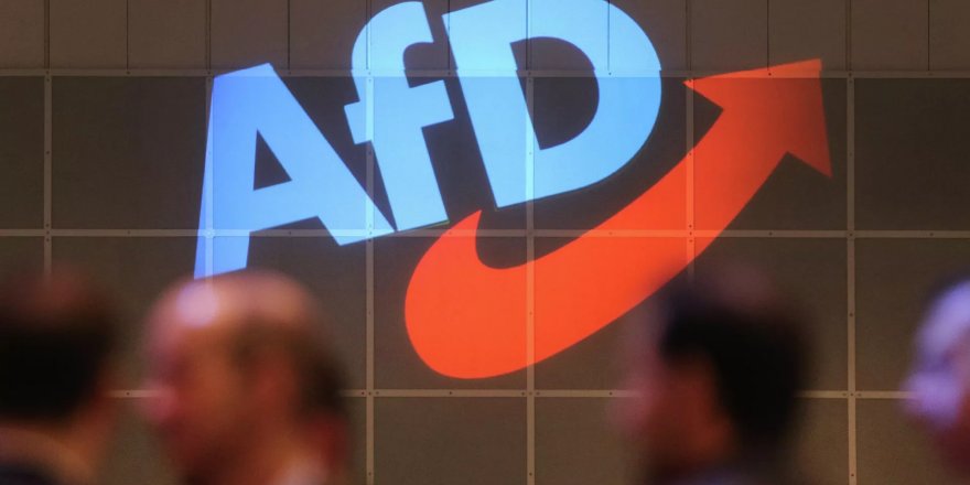 Almanya'da 'demokratik' erken seçim: AfD'nin yasaklanması talebi