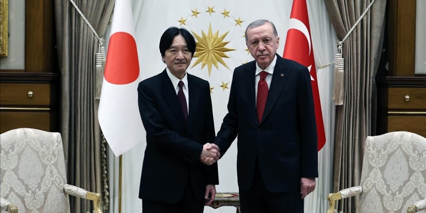 Cumhurbaşkanı Erdoğan, Japonya Veliaht Prensi Akishino'yu kabul etti