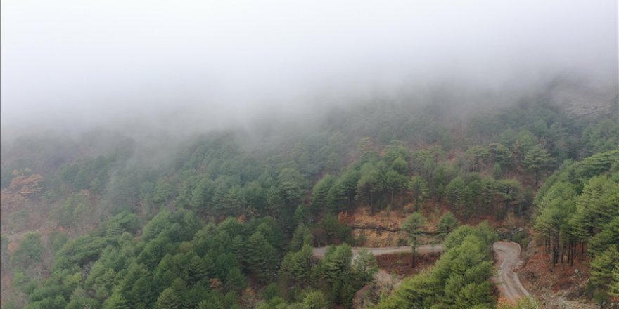 Oksijen deposu Kazdağları'nın doğal güzellikleri dronla görüntülendi