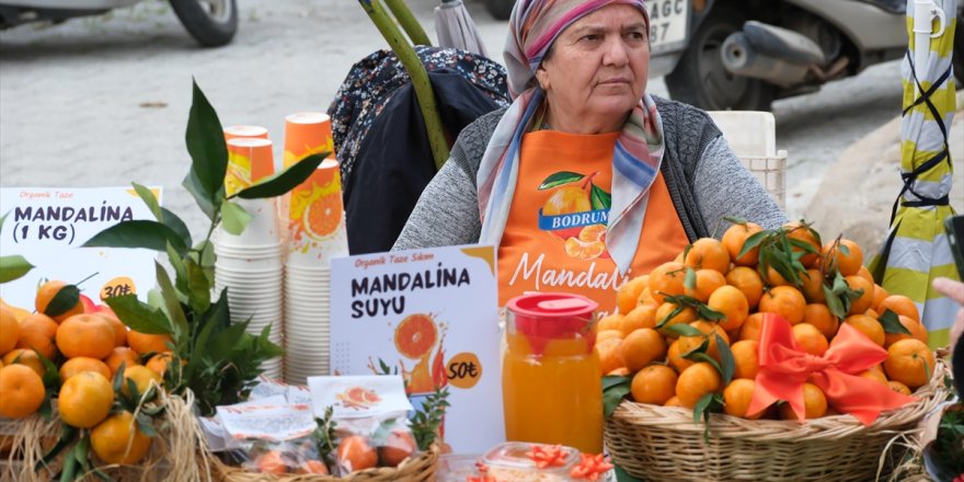 Bodrum'da "Mandalina Festivali" düzenlendi