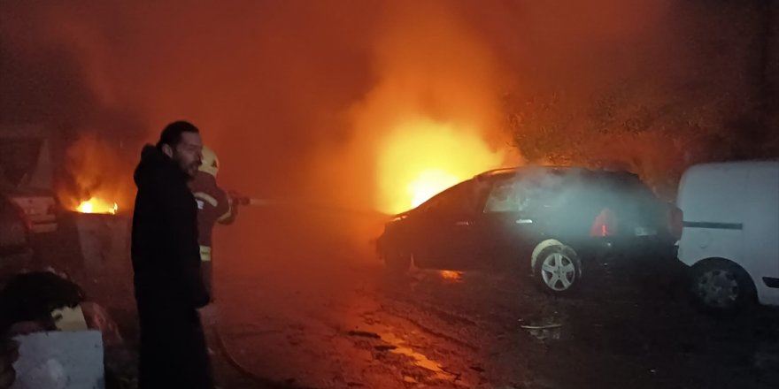 Bodrum'da yıldırımın isabet ettiği ağacın altındaki 2 otomobil yandı