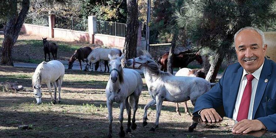 Kayıp atlar, MHP'li Dörtyol Belediye Başkanı Keskin'i istifa ettirtti!