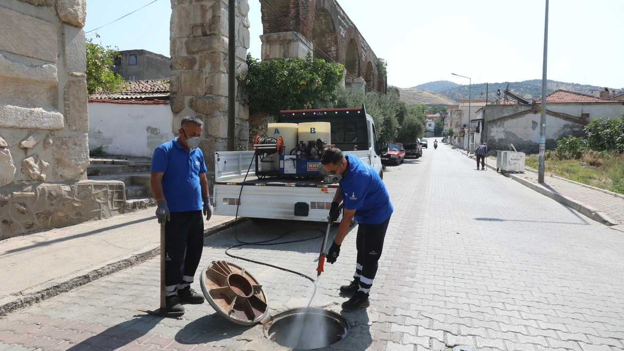 Selçuk'ta ilaçlama seferberliği