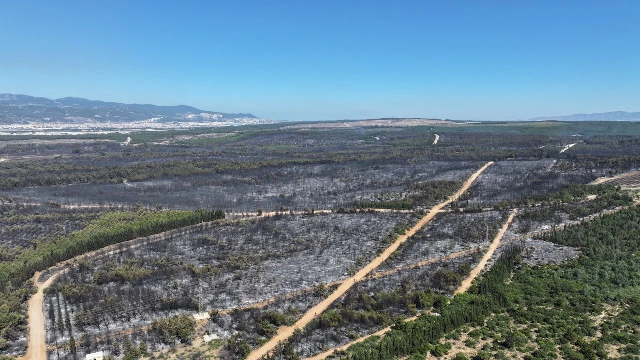 İzmir’in acı raporu: 26 bin 260 hektar kül oldu