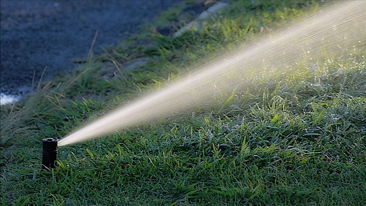 Su krizi parkları vurdu: Belediyeden ‘asgari sulama’ kararı!
