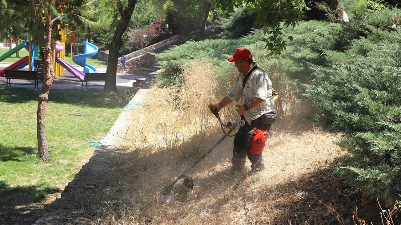 Menderes'te ot temizliği