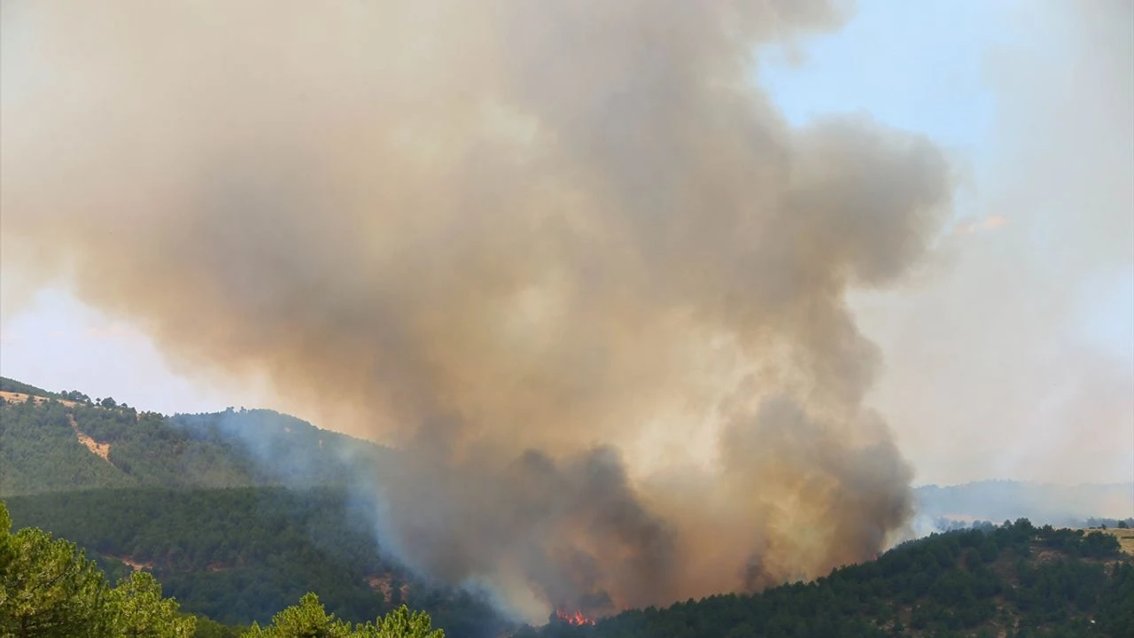Uşak'taki kabus sona erdi!