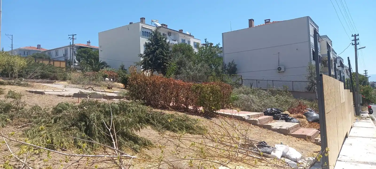 Park ve yeşil alana ticari faaliyet girişimi izni verilmiş: Ağaçlara ihanet