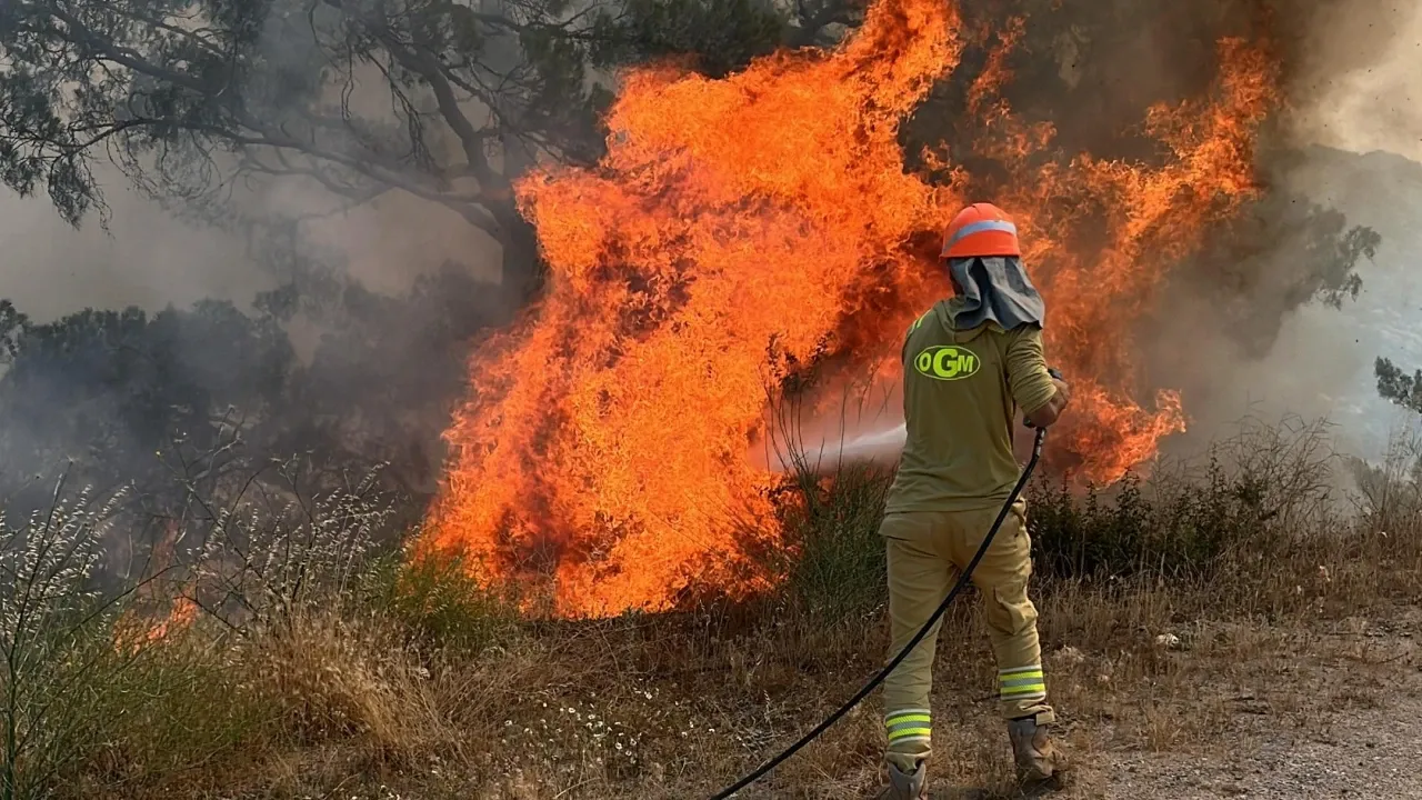 İçimiz yandı: 10 orman işçisi şehit!