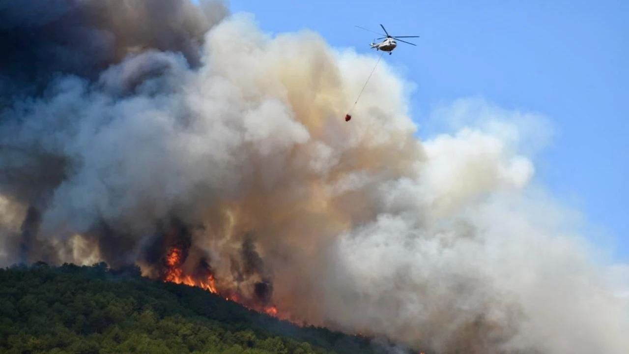 Eskişehir'deki orman yangınına soruşturma başlatıldı