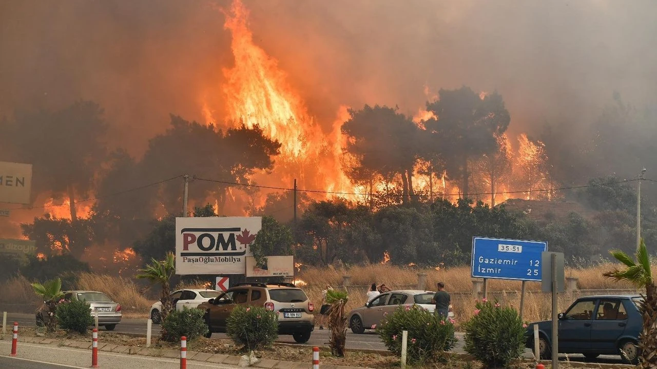 İZPA’dan orman yangını raporu... İzmir risk altında!