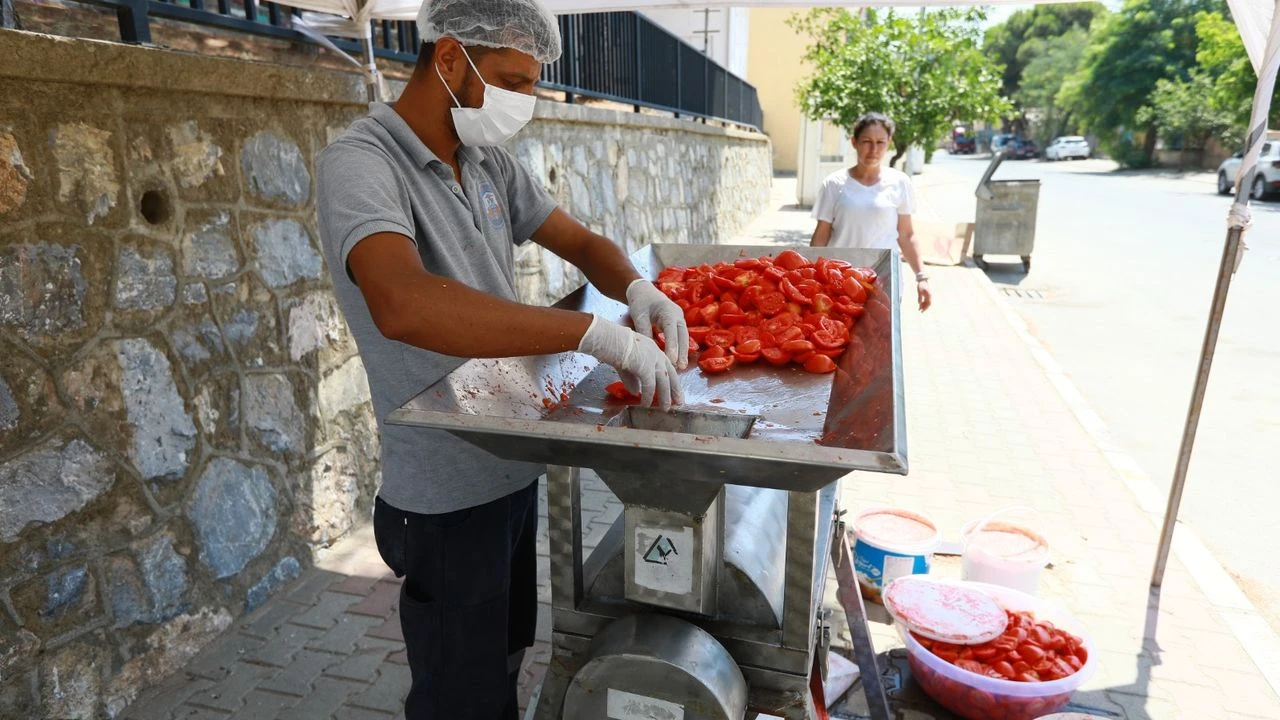 Selçuk'ta kışlık salça hazırlıkları başlıyor