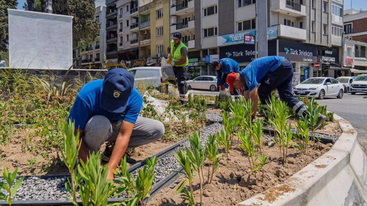 İzmir'de kuraklığa yeşil formül!