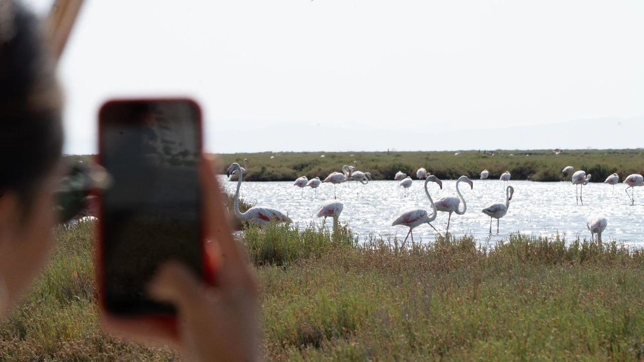 Flamingo Yolu turları başladı