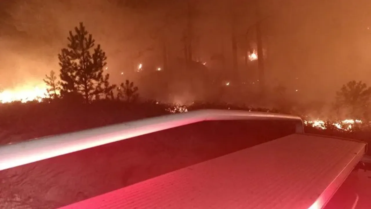 Orman yangını: 1 hektar küle döndü!