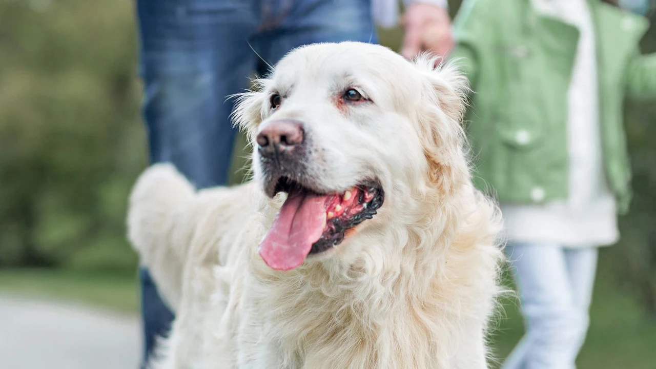 Can dost cinayetine tutuklama!