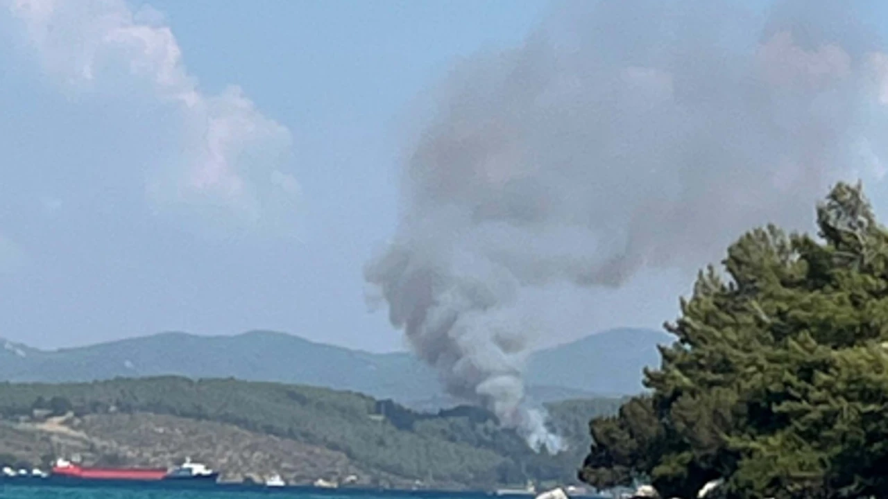 Bodrum'da orman yangını