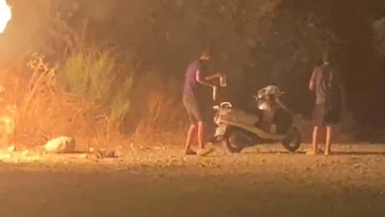 Ormanı yakıp kaçtılar!