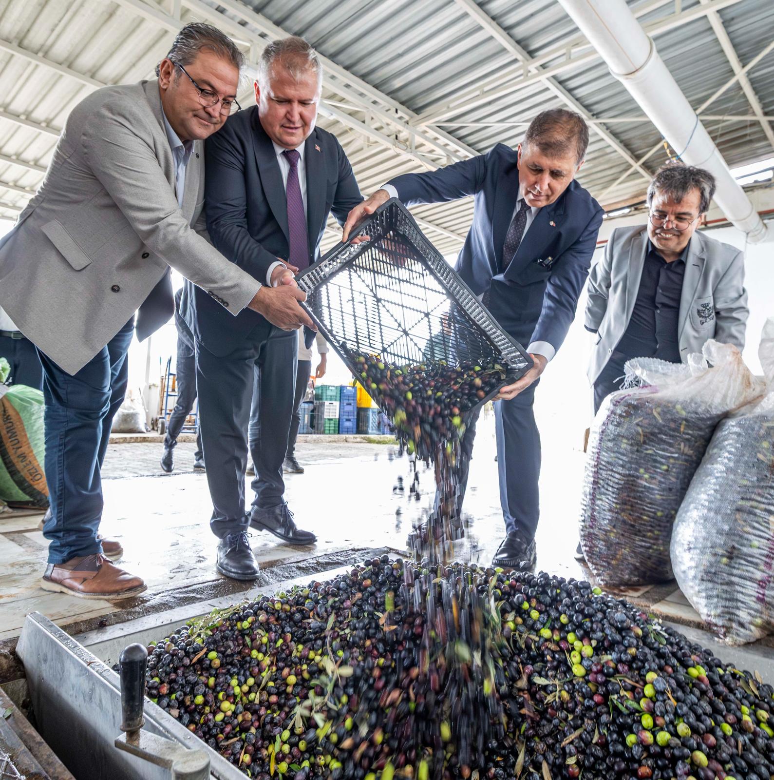 Sezonun ilk zeytinyağı Başkan Tugay’dan