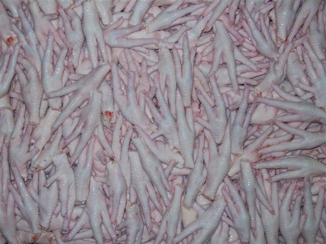 Çin’e tavuk ayağı ihracat izni çıkarsa 200 milyon dolarlık ihracat yapabiliriz